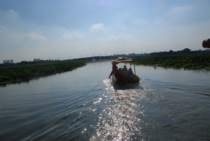 Ϧ�������ӭ�������ϰ�